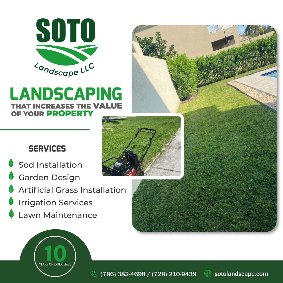 Soto Landscape Popup