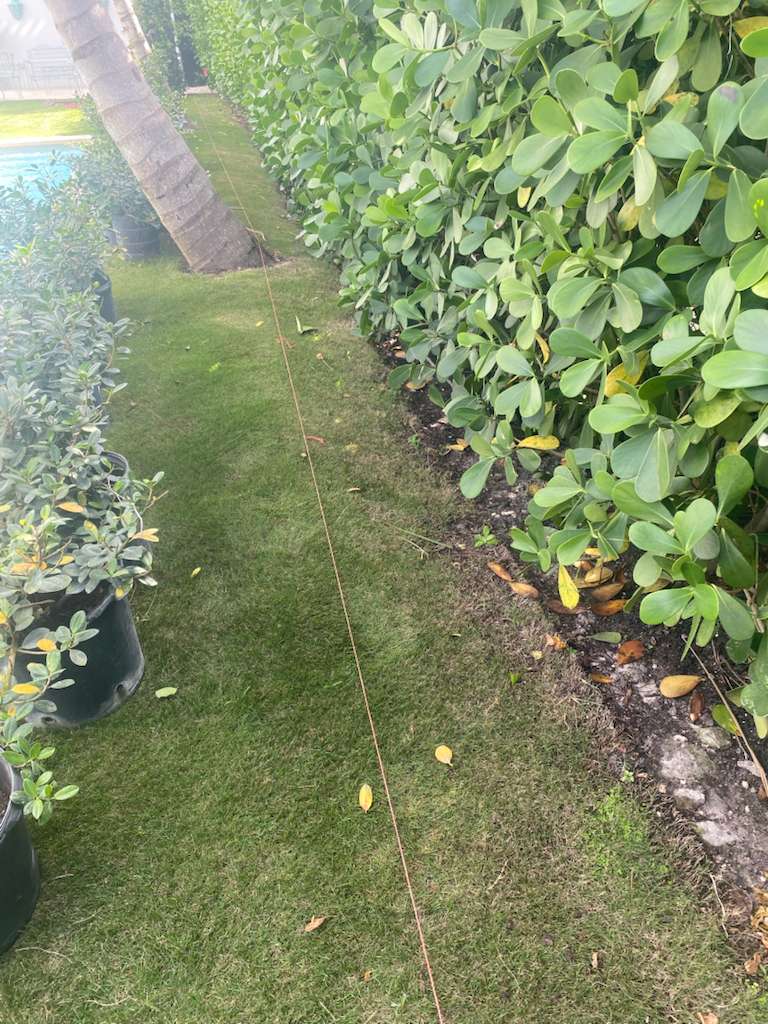 Garden-Design Hero Image