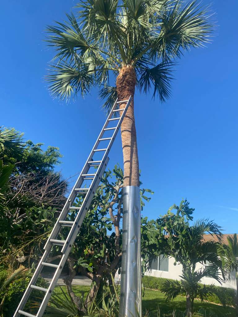 Garden-Design Image 2