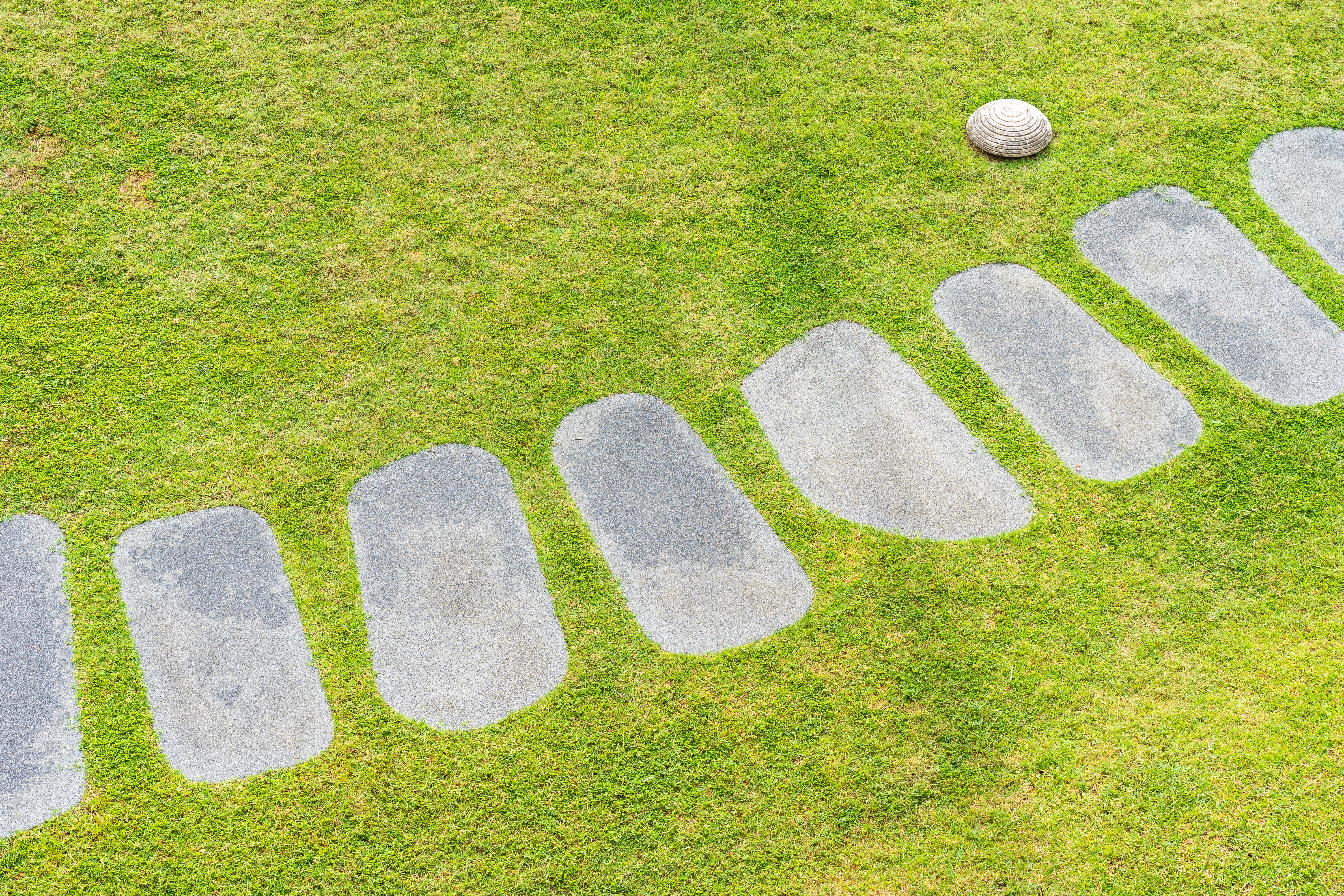 Artificial Grass Installation